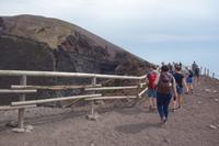 Lavalandschaft des Vesuvs (23)