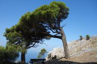 Wanderung durch das wilde Capri (54)