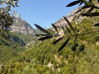 Amalfi – Wanderung durch das Mühlental – Amalfi (24)