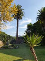 Wanderung rund um Ravello und Besuch im Agriturismo (14)