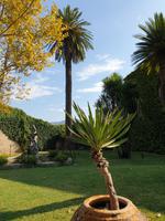 Wanderung rund um Ravello und Besuch im Agriturismo (15)