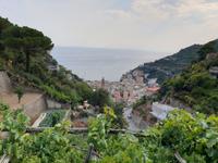 Wanderung rund um Ravello und Besuch im Agriturismo (5)