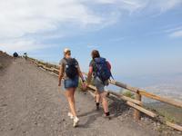 Lavalandschaft des Vesuvs (1)