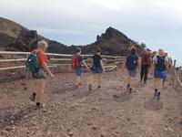 Lavalandschaft des Vesuvs (6)