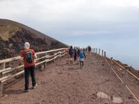 Lavalandschaft des Vesuvs (7)