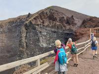 Lavalandschaft des Vesuvs (8)