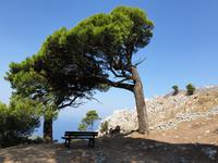 Wanderung durch das wilde Capri (8)