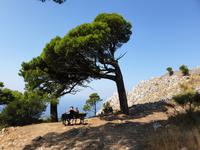 Wanderung durch das wilde Capri (40)