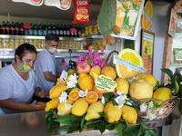 Wanderung durch das wilde Capri (44)