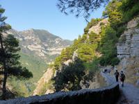 Wanderung im Valle delle Ferriere von Scala nach Amalfi (6)