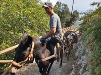Wanderung im Valle delle Ferriere von Scala nach Amalfi (16)
