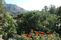 Besuch des Botanischen Gartens La Mortella (11)