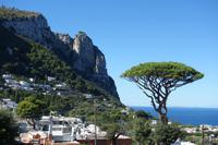 Ausflug auf die Insel Capri (109)