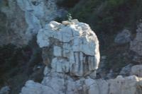 Ausflug auf die Insel Capri (123)