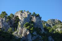 Ausflug auf die Insel Capri (130)