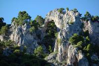 Ausflug auf die Insel Capri (131)