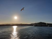Flug nach Neapel - Überfahrt zur Insel Ischia (9)