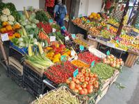 Inselrundfahrt um Ischia (18)