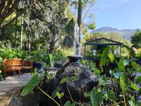 Besuch des Botanischen Gartens La Mortella (2)