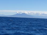 Ausflug auf die Insel Capri (12)