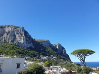 Ausflug auf die Insel Capri (44)
