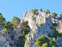 Ausflug auf die Insel Capri (66)