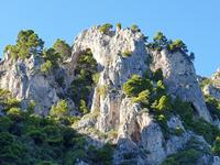 Ausflug auf die Insel Capri (68)