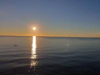 Impressionen Ischia (6)