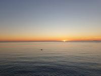 Impressionen Ischia (17)