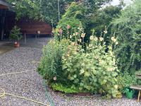 Im Kräutergarten Goldrain