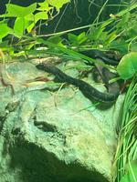 Im Nationalparkhaus mit einheimischen Tieren