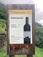 Ja Wein gibt es viel