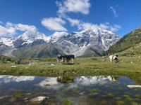 Postkartenverdächtig