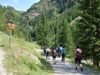 Single-Wanderreise Brenta-Dolomiten & Trentino – Nord-Italien (57).JPG