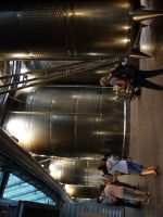 Single-Wanderreise Brenta-Dolomiten & Trentino – Nord-Italien (119).JPG