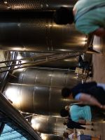 Single-Wanderreise Brenta-Dolomiten & Trentino – Nord-Italien (120).JPG