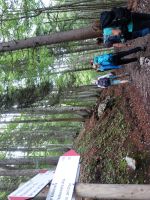 Single-Wanderreise Brenta-Dolomiten & Trentino – Nord-Italien (124).JPG