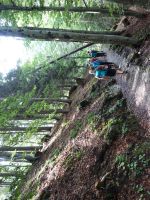 Single-Wanderreise Brenta-Dolomiten & Trentino – Nord-Italien (128).JPG