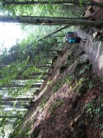 Single-Wanderreise Brenta-Dolomiten & Trentino – Nord-Italien (129).JPG