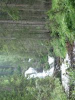 Single-Wanderreise Brenta-Dolomiten & Trentino – Nord-Italien (130).JPG