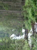 Single-Wanderreise Brenta-Dolomiten & Trentino – Nord-Italien (131).JPG