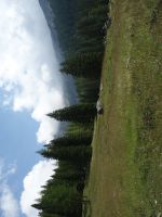 Single-Wanderreise Brenta-Dolomiten & Trentino – Nord-Italien (148).JPG