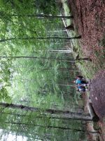 Single-Wanderreise Brenta-Dolomiten & Trentino – Nord-Italien (163).JPG