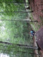 Single-Wanderreise Brenta-Dolomiten & Trentino – Nord-Italien (164).JPG