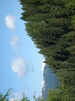 Single-Wanderreise Brenta-Dolomiten & Trentino – Nord-Italien (170).JPG