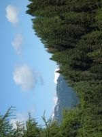 Single-Wanderreise Brenta-Dolomiten & Trentino – Nord-Italien (171).JPG