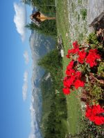 Single-Wanderreise Brenta-Dolomiten & Trentino – Nord-Italien (183).JPG