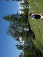 Single-Wanderreise Brenta-Dolomiten & Trentino – Nord-Italien (189).JPG