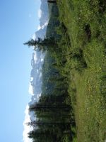 Single-Wanderreise Brenta-Dolomiten & Trentino – Nord-Italien (191).JPG