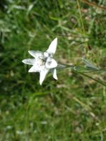 Single-Wanderreise Brenta-Dolomiten & Trentino – Nord-Italien (196).JPG